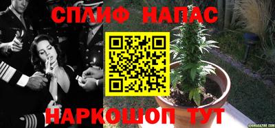 дурь Новокубанск