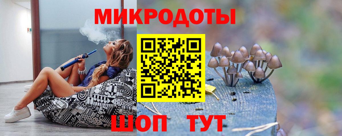 Галлюциногенные грибы MAGIC MUSHROOMS  Вход с VPN  Углич 