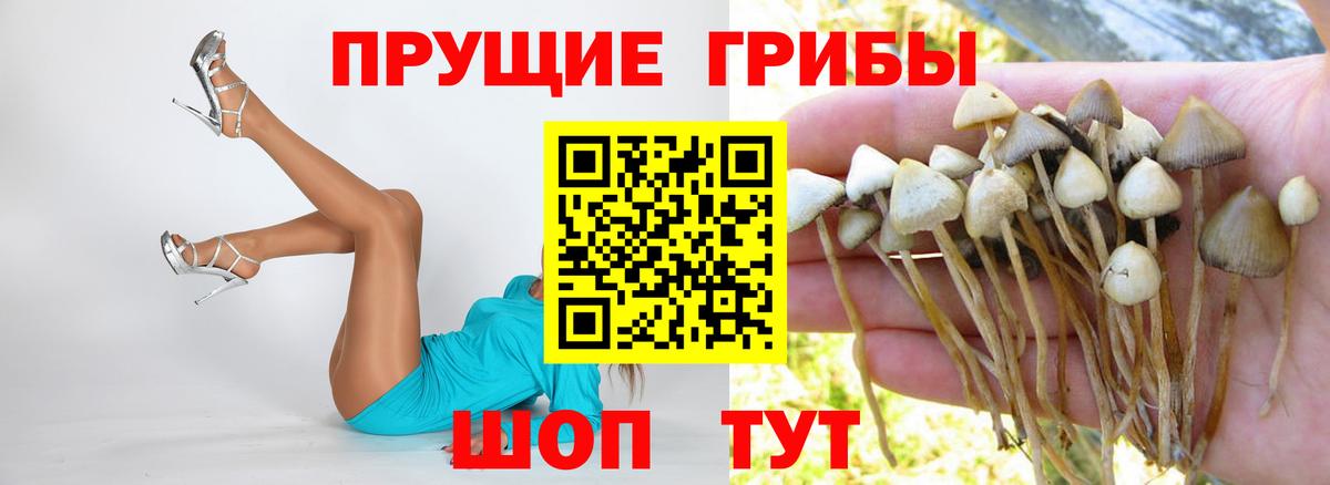 Псилоцибиновые грибы Magic Shrooms Углич